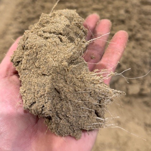 Arenafiber Organic - kvad Arenafiber Organic - Organisk Ridebanefiber