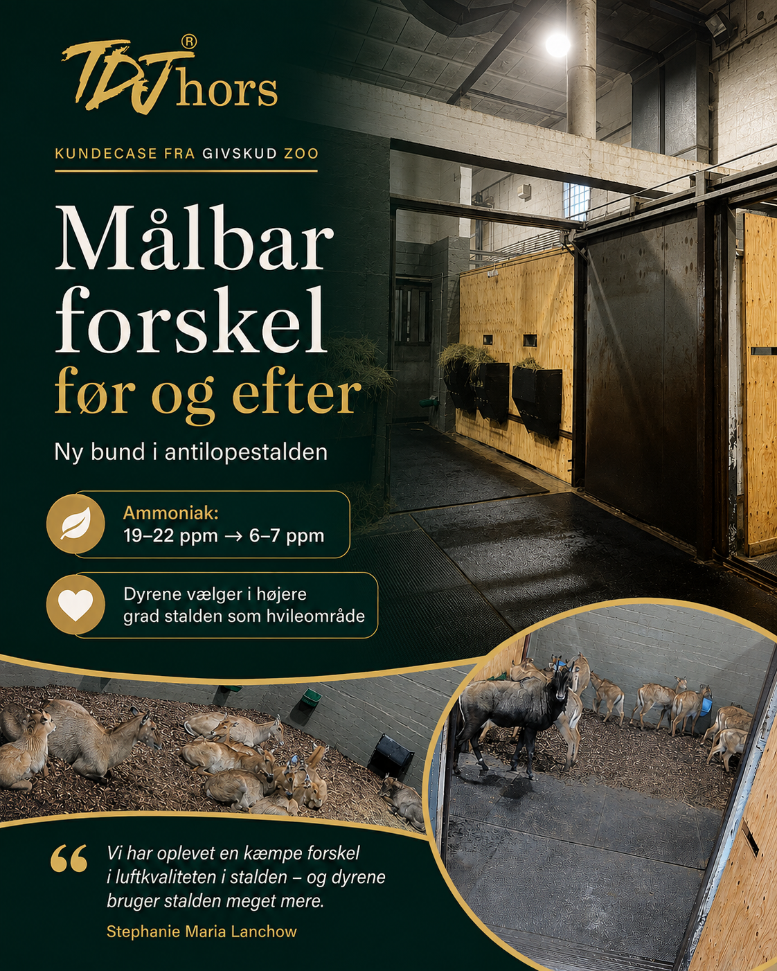 Installation af gummimåtter i hjortestalden hos Givskud Zoo forbedrer luftkvaliteten markant